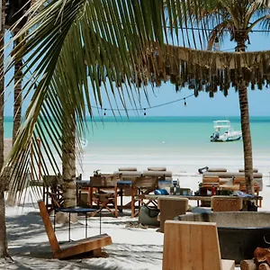 **** Hotel Casa Tortugas Petit & Mexico