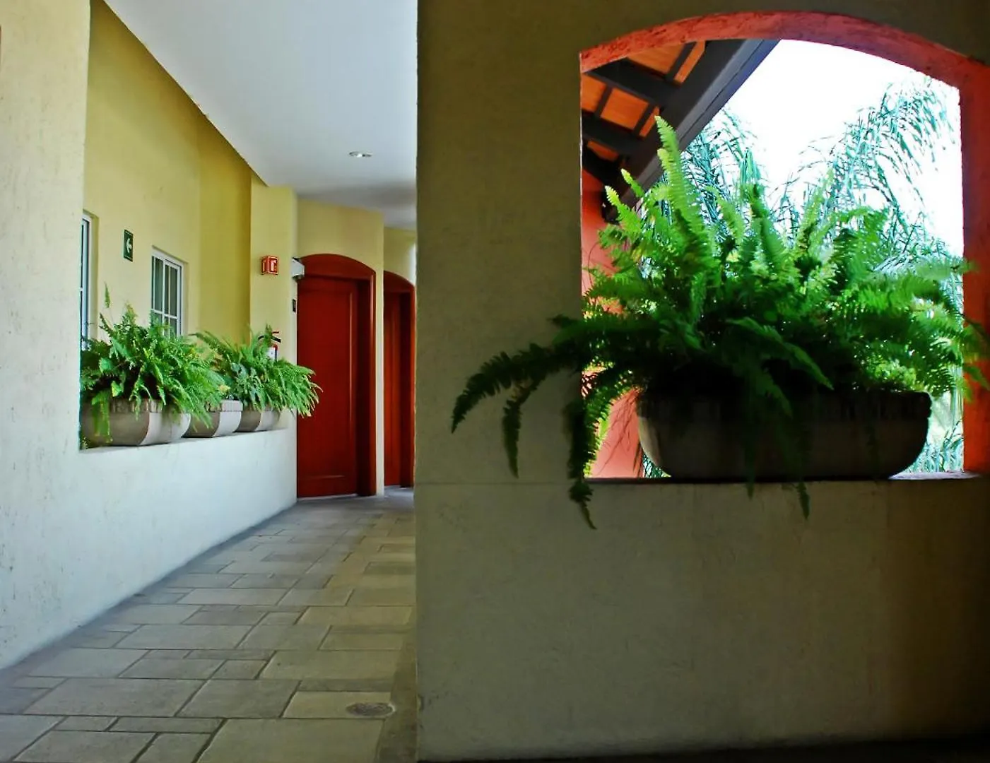Aurea Hotel And Suites Zapopan